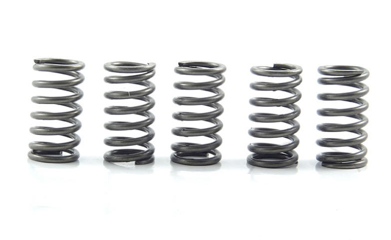 EBC Muelles Extra Fuerte 5 Muelles CSK118 TRIUMPH