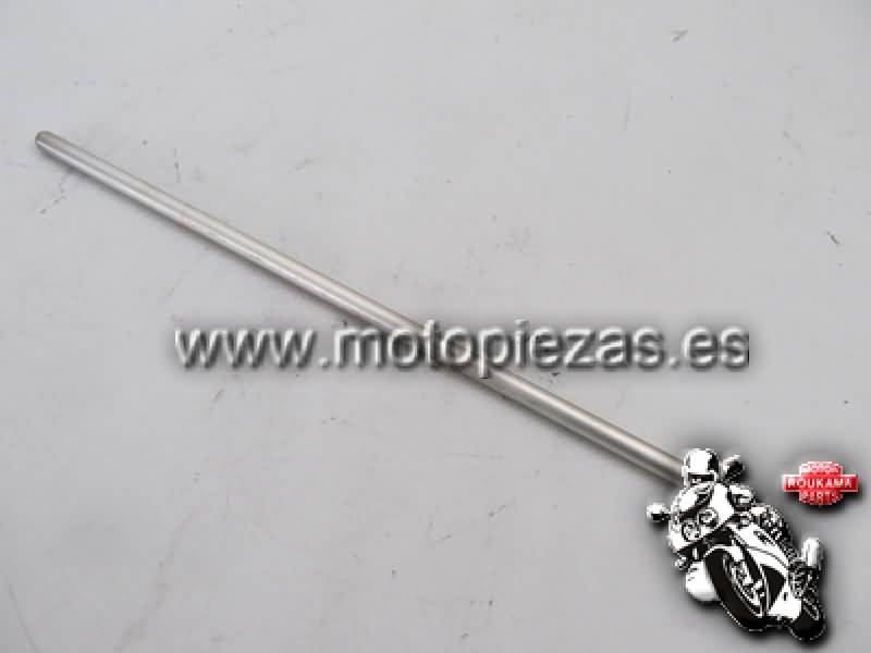 Kawasaki ZX-9R(ZX900B) Eje